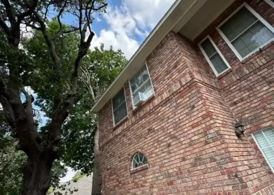 Professional Local Tree Service