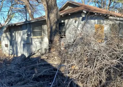 Professional Local Tree Service