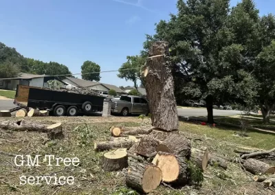 Professional Local Tree Service