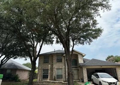 Professional Local Tree Service