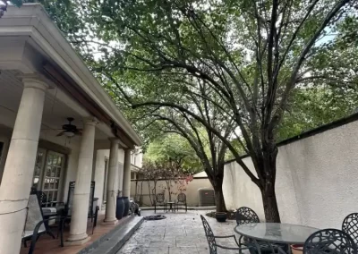 Professional Local Tree Service