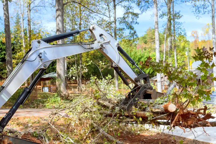 Affordable Land Clearing Fort Worth, TX
