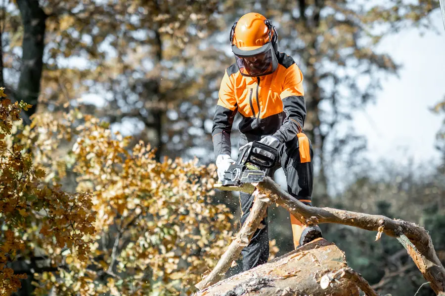 Key Benefits Of Tree Cutting For Your Homes Curb Appeal Fort Worth, TX